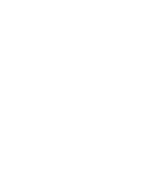 Icon Local Administration